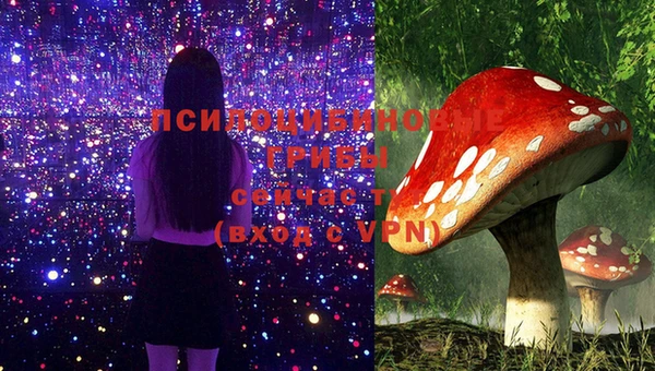 гашиш Новокубанск