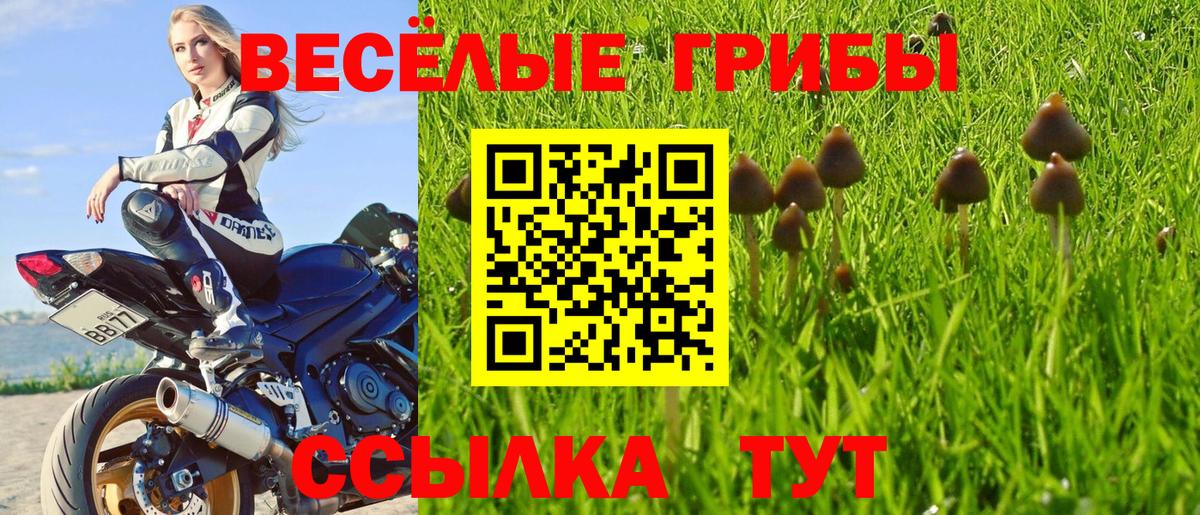 Псилоцибиновые грибы Cubensis  Вход с VPN  Копейск 
