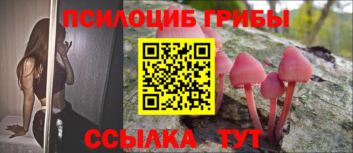 Псилоцибиновые грибы Cubensis Копейск